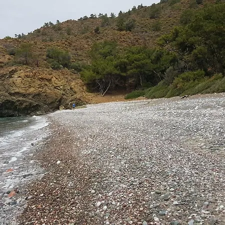 Durusu Ciftlik Evleri Panzió *