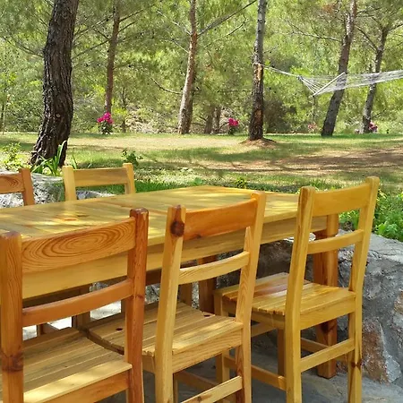 Durusu Ciftlik Evleri Panzió *