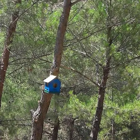 Panzió Durusu Ciftlik Evleri *