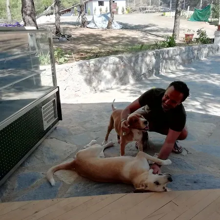 Durusu Ciftlik Evleri Panzió