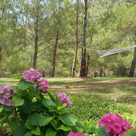 Durusu Ciftlik Evleri B&B