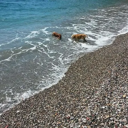 Durusu Ciftlik Evleri * Datca