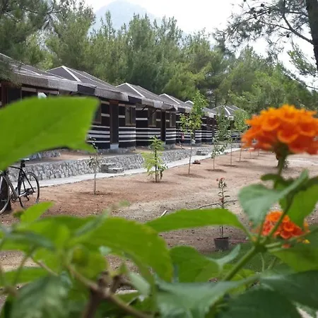 Durusu Ciftlik Evleri B&B Datca