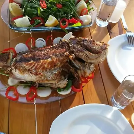 Durusu Ciftlik Evleri B&B *