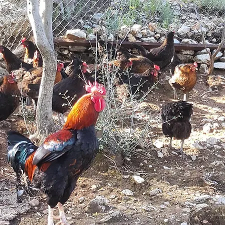 Durusu Ciftlik Evleri