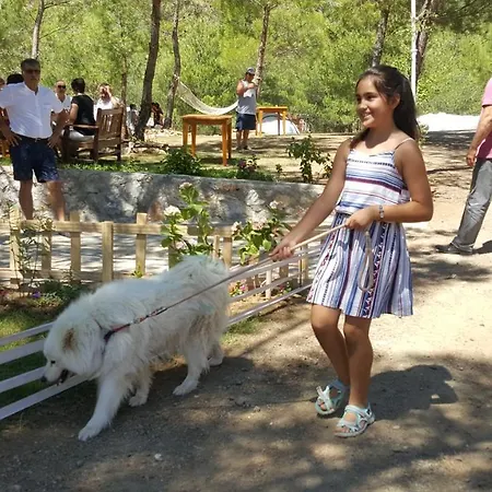 B&B Durusu Ciftlik Evleri